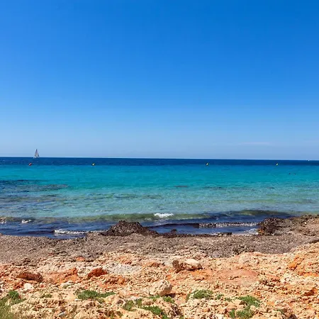 Windrose Son Xoriguer