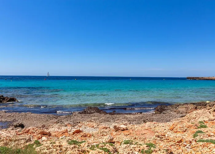 Windrose Son Xoriguer