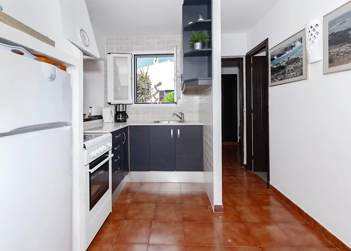 Windrose Son Xoriguer